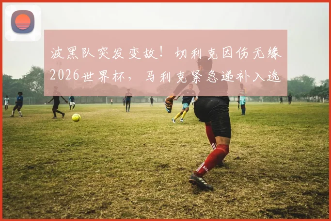 波黑队突发变故！切利克因伤无缘2026世界杯，马利克紧急递补入选大名单