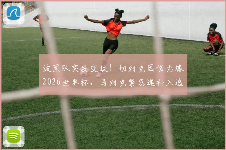波黑队突发变故！切利克因伤无缘2026世界杯，马利克紧急递补入选大名单